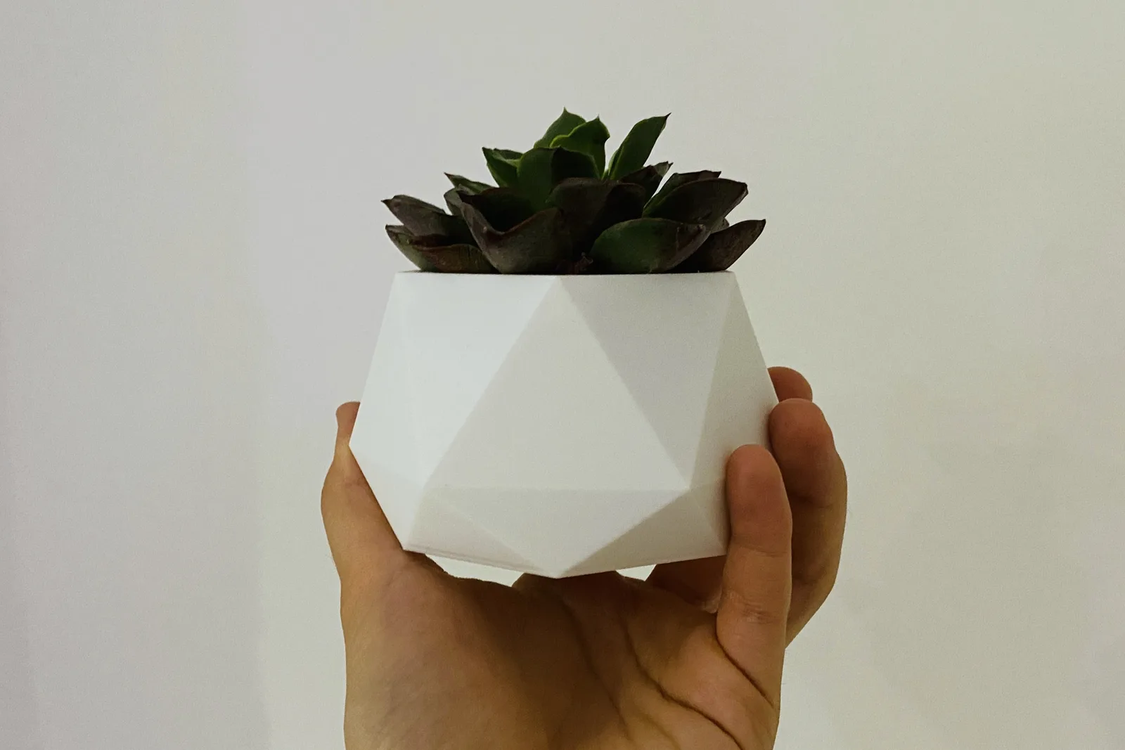 Mini Pflanzentopf